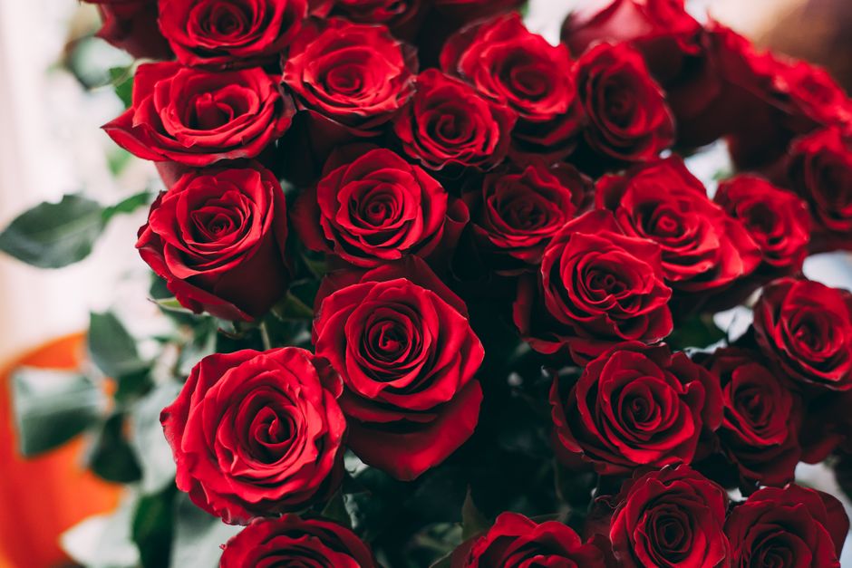 Buquê de 24 rosas colombianas