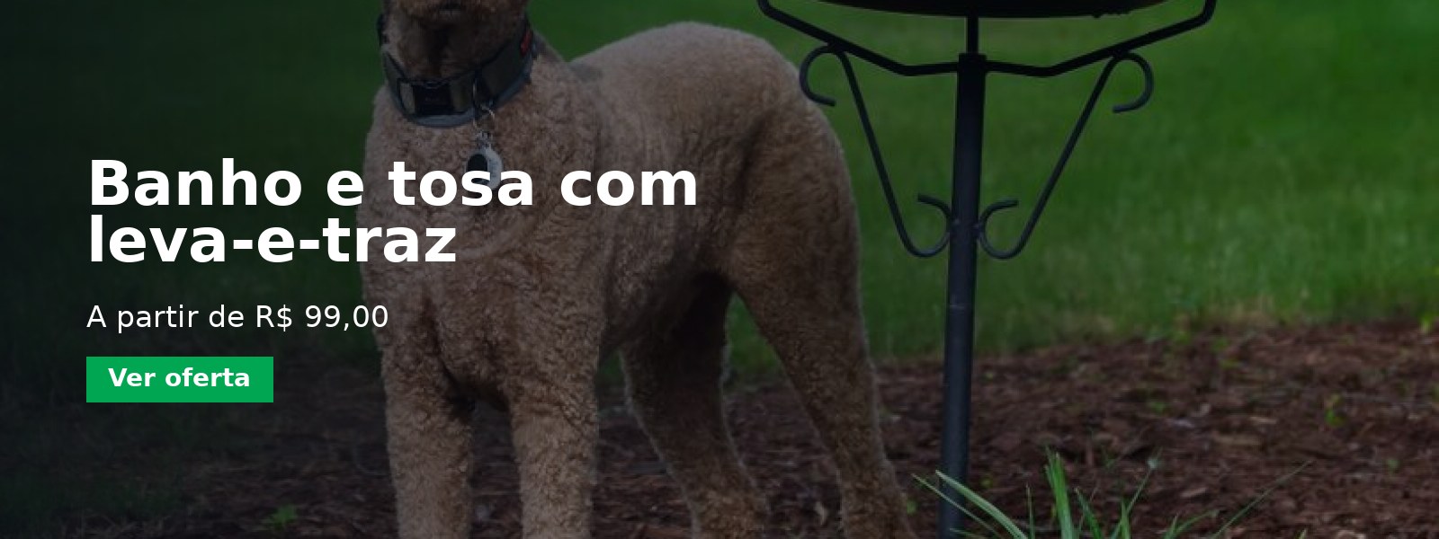 Banho e tosa com leva-e-traz — Pet Shop Amigo Fiel
